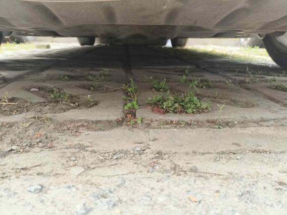 [广州·粤A] 二手宝马宝马5系2014款 525Li 豪华设计套装