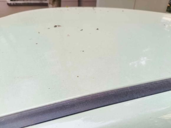 [无锡·鄂E] 二手长安长安奔奔E-Star2021款 国民版 多彩款 磷酸铁锂（31.18kWh）