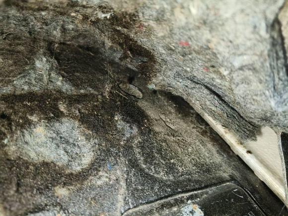 [武汉·鄂A] 二手本田凌派2015款 1.8L 自动豪华版