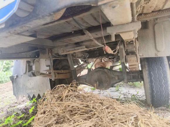 [上海·浙A] 二手东风小康东风小康D522021款 1.5L标准型后双轮国VI