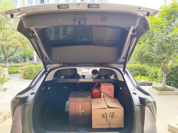 [武汉·鄂A] 二手高合汽车高合HiPhi Y2023款 560km 精英版