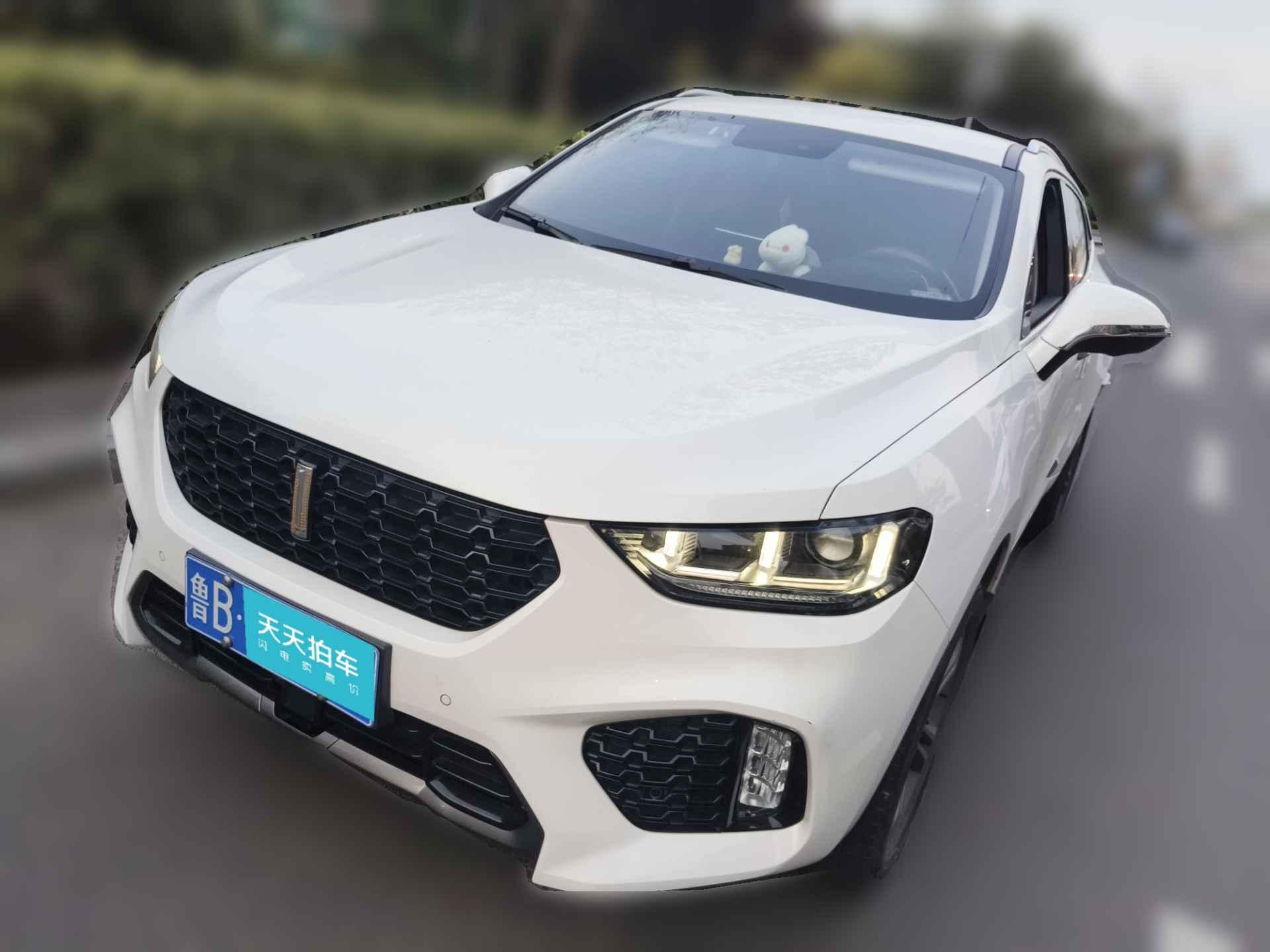 [青岛·鲁B] 魏牌魏牌 VV52019款 2.0T 两驱终结版