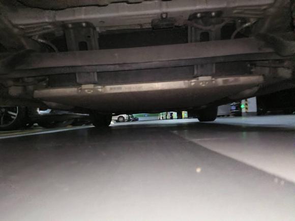 [佛山·粤A] 二手欧拉欧拉黑猫2022款 351km 标准型 三元锂