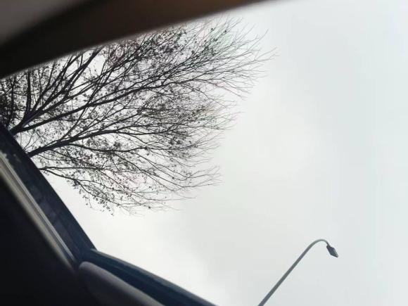 [宁波·浙B] 二手丰田卡罗拉2014款 1.6L CVT GL-i真皮版