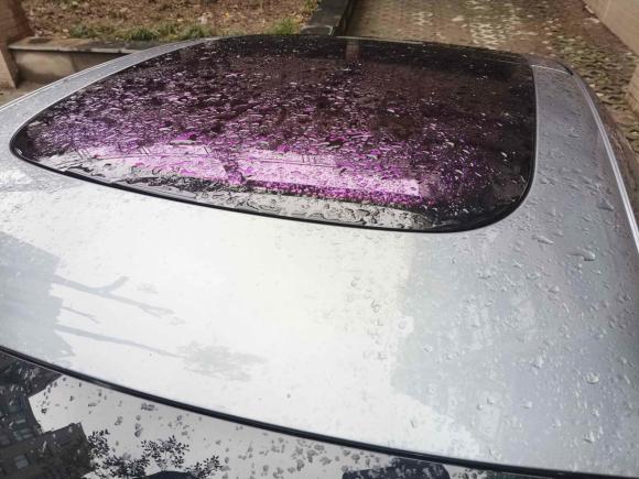 [杭州·浙A] 二手零跑汽车零跑S012019款 460 标准版