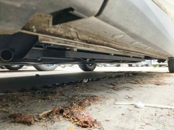 [深圳·粤L] 二手比亚迪海鸥2023款 活力版