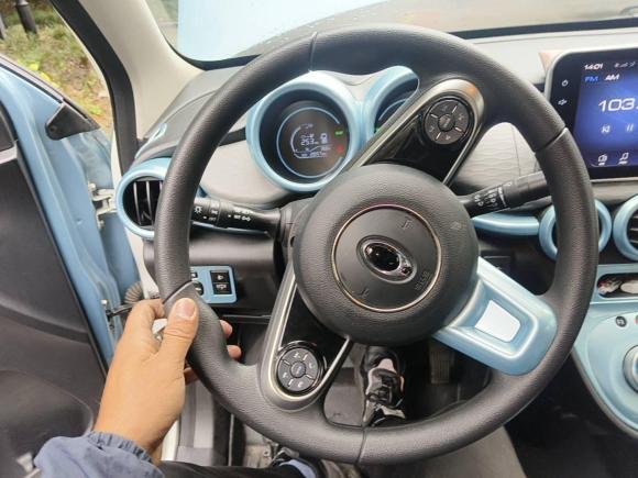 [上海·沪A] 二手欧拉欧拉黑猫2021款 351km 标准型