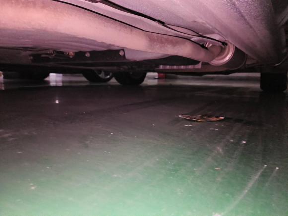 [成都·川A] 二手本田飞度2007款 1.5L CVT舒适版