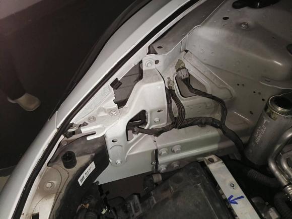 [深圳·粤B] 二手特斯拉Model 32021款 标准续航后驱升级版