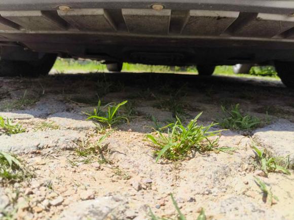 [青岛·鲁B] 二手福特蒙迪欧2013款 2.0L GTDi200豪华型