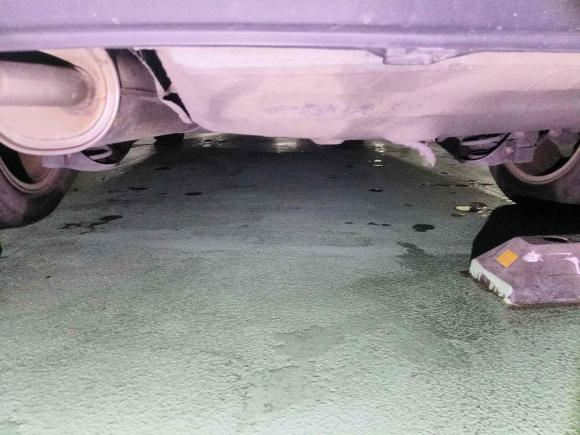 [苏州·苏E] 二手大众朗行2017款 1.6L 自动风尚版