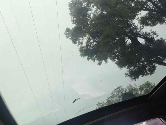 [温州·浙C] 二手吉利汽车帝豪GS2018款 领潮版 1.4T 自动领尚智联型