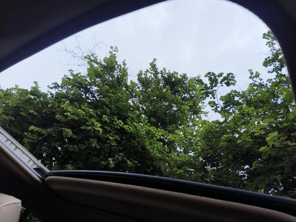 [佛山·粤E] 二手丰田卡罗拉2016款 双擎 1.8L E-CVT精英版