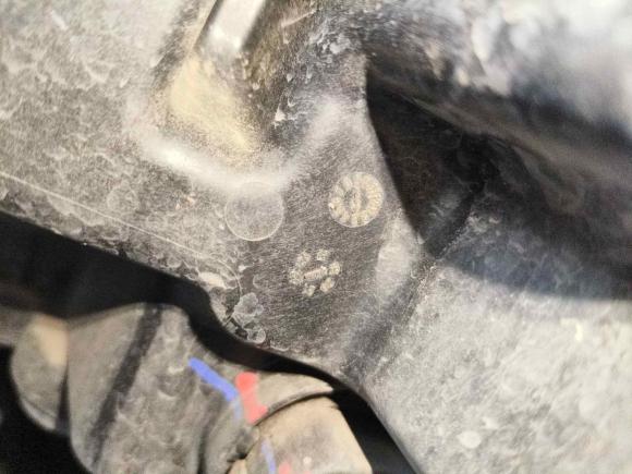 [杭州·浙A] 二手比亚迪元新能源2019款 EV535 智联领潮型