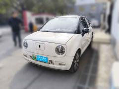 [上海·沪A] 欧拉欧拉黑猫2021款 351km 豪华型