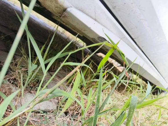 [合肥·浙J] 二手奥迪奥迪A32022款 A3L Limousine 35 TFSI 豪华运动型