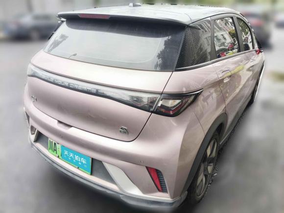 [成都·川A] 二手比亚迪海豚2021款 401km 骑士版