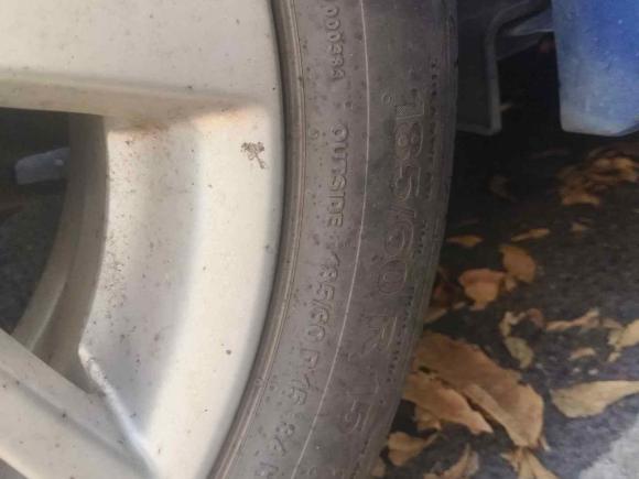 [深圳·粤B] 二手本田飞度2014款 1.5L LX CVT舒适型