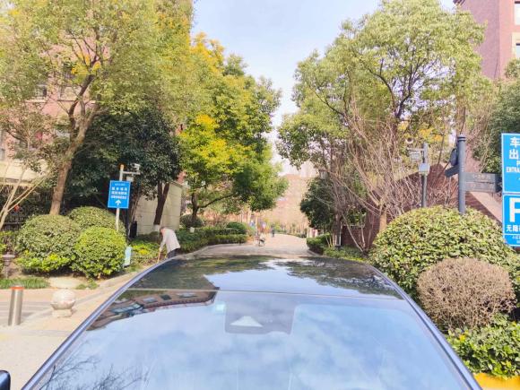 [上海·沪A] 二手比亚迪海豹2022款 700km 长续航后驱版