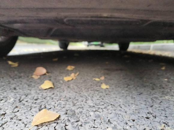 [成都·川G] 二手大众凌渡2021款 230TSI DSG风尚版