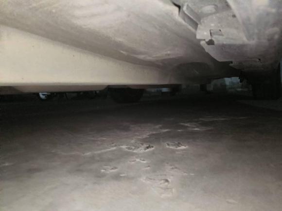 [温州·浙C] 二手丰田凯美瑞2009款 240G 豪华版