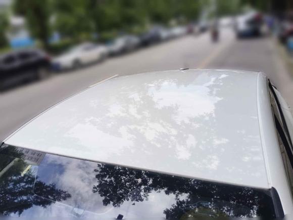 [成都·川A] 二手长安逸动新能源2019款 EV460 智享版