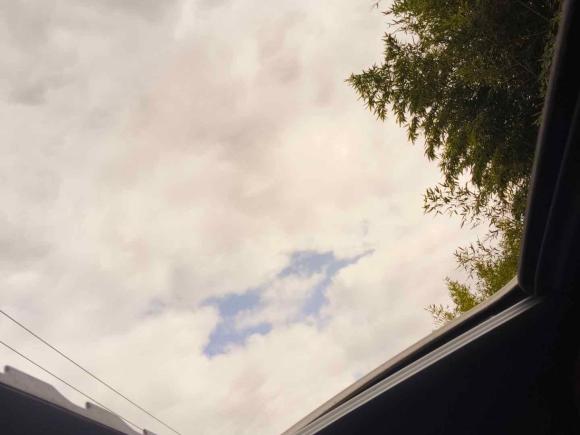 [上海·沪B] 二手奔驰奔驰C级2019款 C 260 运动版