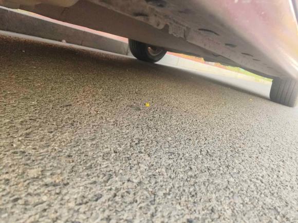 [南昌·赣A] 二手雪佛兰迈锐宝2017款 1.5T 自动豪华版