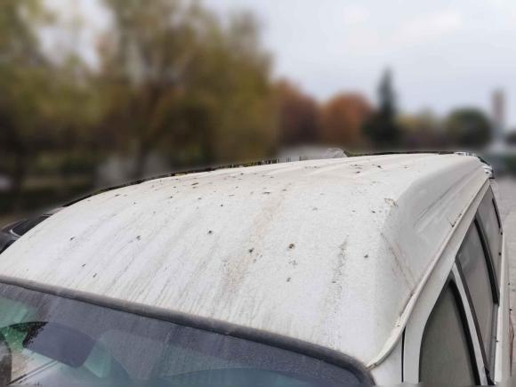 [芜湖·苏B] 二手金杯新海狮X30L2021款 1.5L财富中央空调版客车国VI SWC15M