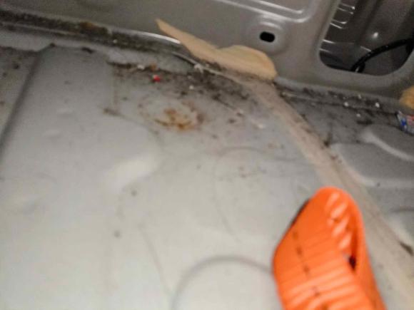 [湖州·浙A] 二手力帆汽车力帆枫叶80v2021款 优行版