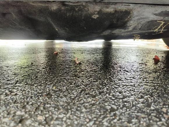 [上海·苏U] 二手福特福克斯2012款 两厢 2.0L 自动豪华运动型