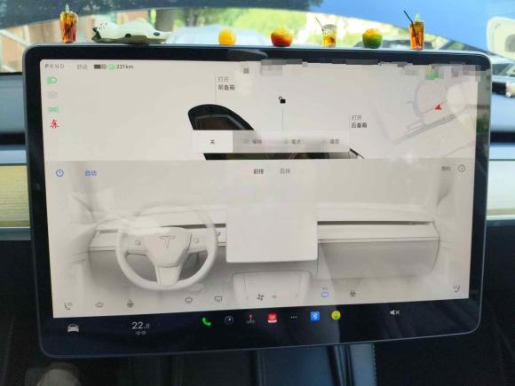 [上海·沪A] 二手特斯拉Model Y2022款 后轮驱动版