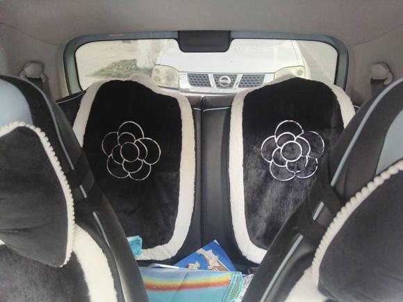 [合肥·皖A] 二手五菱汽车宏光MINIEV2020款 自在款 磷酸铁锂