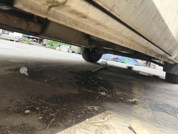 [上海·苏E] 二手福田图雅诺2016款 2.8T 商运版短轴4J28TC3