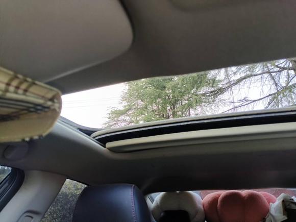 [上海·沪D] 二手本田思域2019款 220TURBO CVT燃动版 国VI