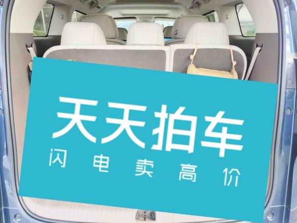 [南京·苏E] 二手腾势腾势D92022款 DM-i 970 四驱旗舰型