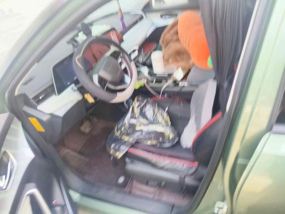 [上海·鲁Q] 二手启辰启辰大V DD-i2023款 110km iE版