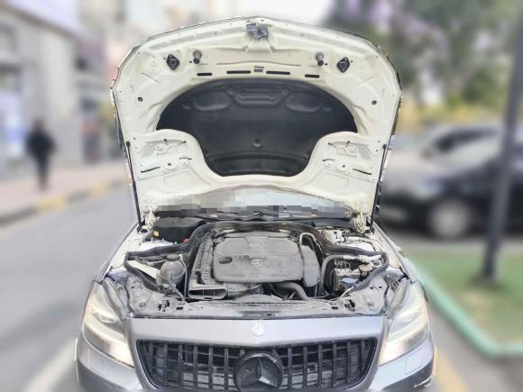 [深圳·粤B] 二手奔驰奔驰CLS2012款 CLS 300 CGI