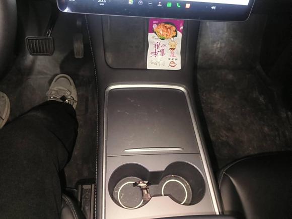 [合肥·皖A] 二手特斯拉Model Y2021款 标准续航后驱版