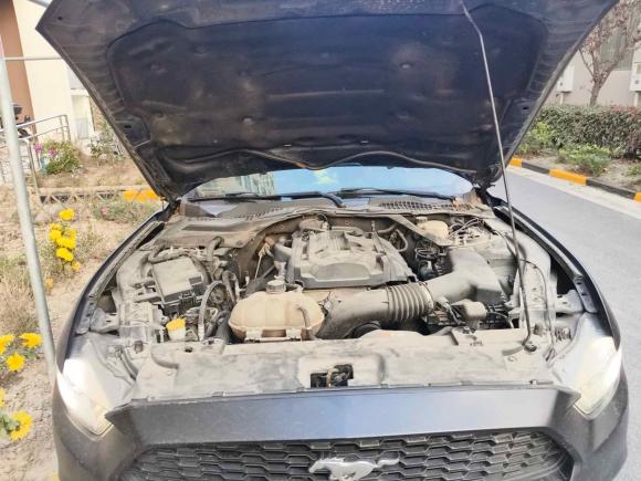 [上海·皖A] 二手福特Mustang2017款 2.3T 性能版