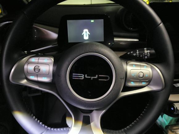 [广州·粤A] 二手比亚迪海豚2023款 420km 自由版