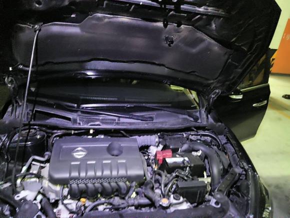 [杭州·浙A] 二手日产轩逸2019款 1.6XV CVT智联尊享版 国VI