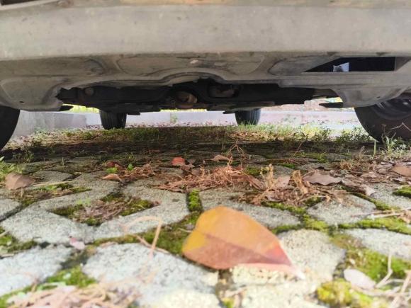 [金华·浙G] 二手大众Polo2016款 1.4L 手动风尚型