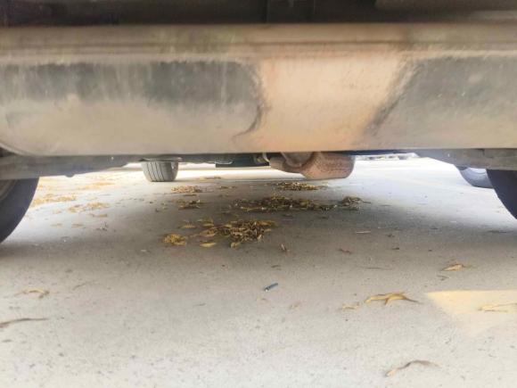 [上海·沪B] 二手福特锐界2012款 2.0T 尊锐型