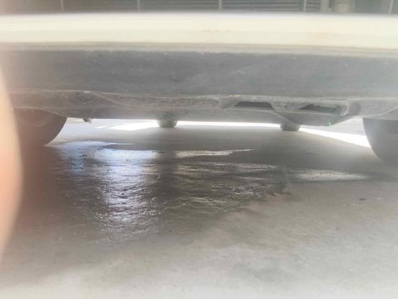 [温州·浙C] 二手大众速腾2019款 200TSI DSG舒适型 国VI