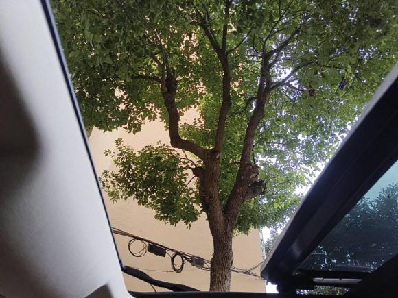 [上海·沪A] 二手欧拉欧拉好猫2021款 400km标准续航 维纳斯版 磷酸铁锂