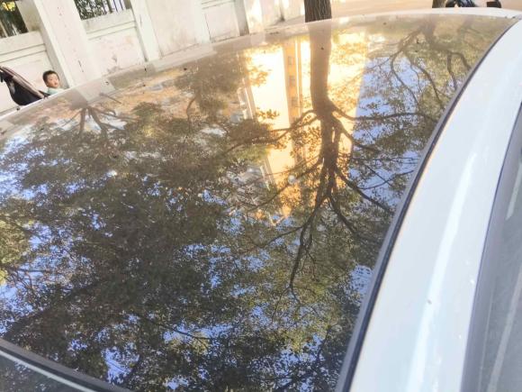 [上海·浙B] 二手长安长安UNI-V2024款 1.5T 高能版