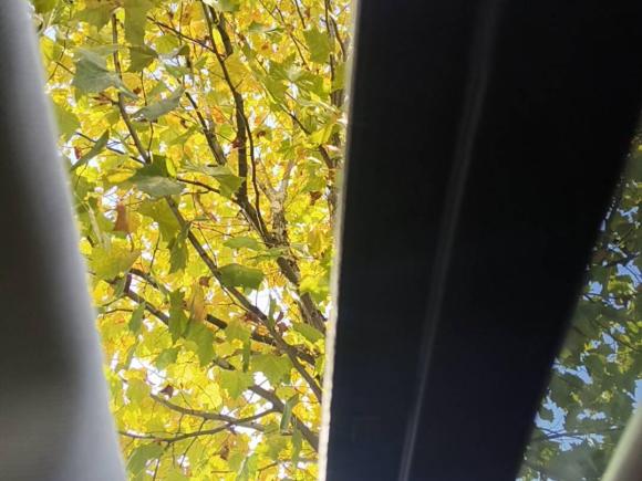 [金华·浙G] 二手奥迪奥迪A4L2012款 2.0 TFSI 自动舒适型