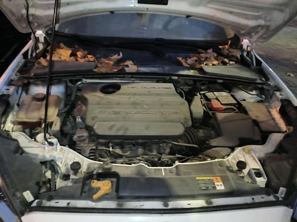 [金华·浙G] 二手福特福睿斯2017款 改款 1.5L 自动舒适型