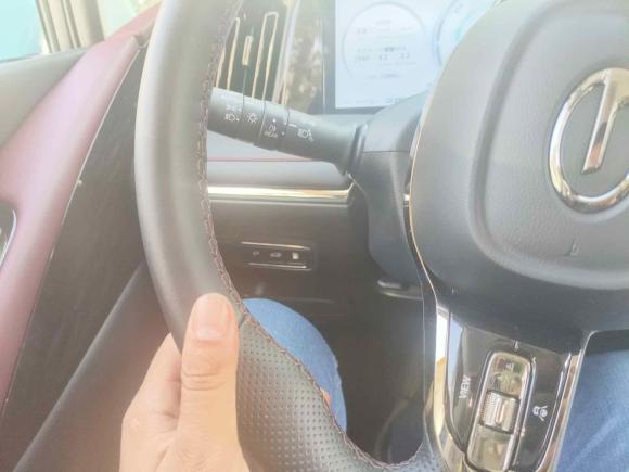 [广州·粤A] 二手广汽传祺传祺E92023款 E9 冠军版